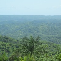 view to trelawny town.JPG